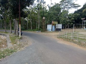 Dijual Cepat Tanah Sleman KPT Pasti Akad 400 meter dari Jalan Godean