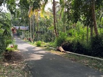 Tanah Luas Kawasan Dewa Wisata di Kadisobo: Aset Apik