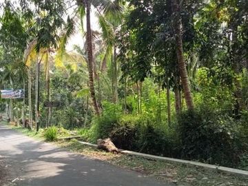 Tanah Luas Kawasan Dewa Wisata di Kadisobo: Aset Apik