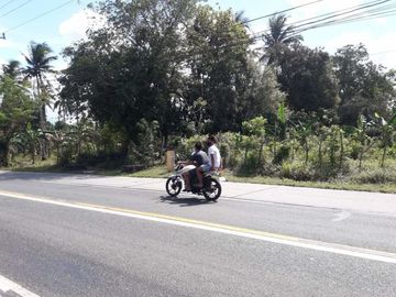 25 Hectares Lot for Sale along Indang Trece Road Cavite