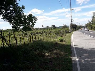 25 Hectares Lot for Sale along Indang Trece Road Cavite