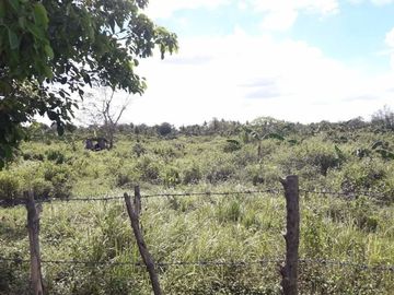 25 Hectares Lot for Sale along Indang Trece Road Cavite