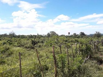 25 Hectares Lot for Sale along Indang Trece Road Cavite