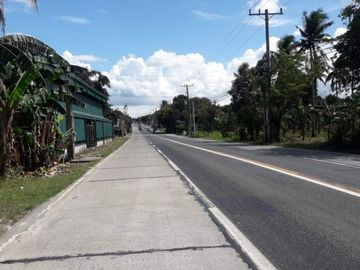 25 Hectares Lot for Sale along Indang Trece Road Cavite