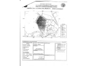 VENTA DE FINCA CHIGUIRI ABAJO TOABRE PENONOMÉ
