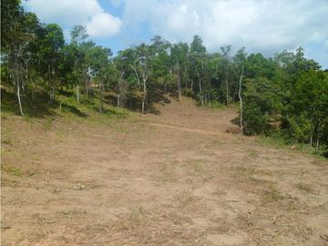 VENTA DE FINCA CHIGUIRI ABAJO TOABRE PENONOMÉ
