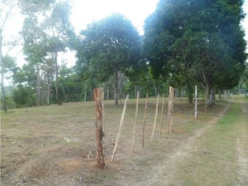 VENTA DE FINCA CHIGUIRI ABAJO TOABRE PENONOMÉ
