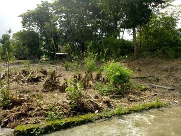 5 menit ke Balai Desa Selomartani Tanah Jogjakarta Berlegalitas Lingkungan Asri