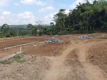 Kavling Galeri Jember Harga Mulai 40 Jutaan
