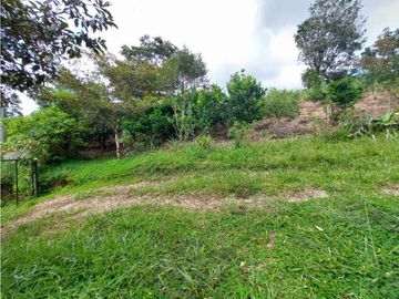 VENDO 01 HECTAREA TITULADA CON AGUA VIVA BOQUETE