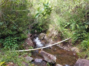 VENDO 01 HECTAREA TITULADA CON AGUA VIVA BOQUETE