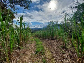 VENDO 01 HECTAREA TITULADA CON AGUA VIVA BOQUETE