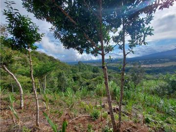 VENDO 01 HECTAREA TITULADA CON AGUA VIVA BOQUETE