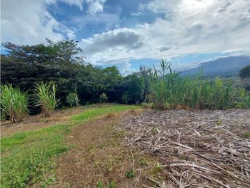 VENDO 01 HECTAREA TITULADA CON AGUA VIVA BOQUETE