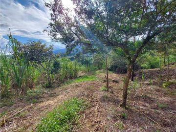 VENDO 01 HECTAREA TITULADA CON AGUA VIVA BOQUETE