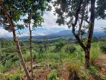 VENDO 01 HECTAREA TITULADA CON AGUA VIVA BOQUETE