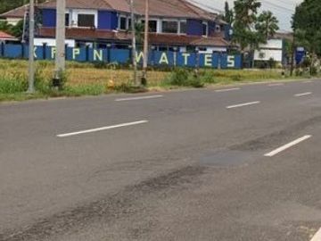 Tanah Pekarangan Luas di Jalan Raya Wates Purworejo Dekat Bandara