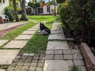 HERMOSA CASA EN UN NIEVEL CON JARDIN GIGANTE Y BELLO