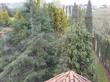 Hermosa Casa tipo Ingles / Venta Toluca