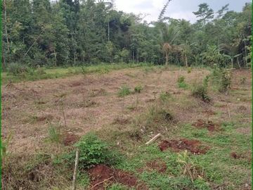 Kapling Perumahan dekat Water Boom Garut, Batang: Legalitas SHM