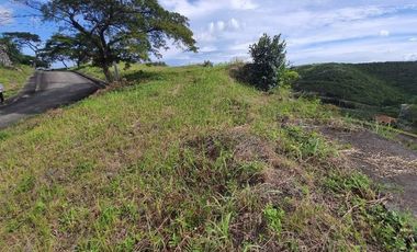 151 Sqm Subdivision Lot for Sale in Aspen Heights Consolacion Cebu with Mountain Views