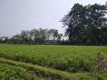 Tanah Kavling Area Ibu Kota Kabupaten Bogor Barat