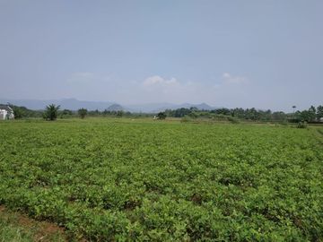 Tanah Kavling Area Ibu Kota Kabupaten Bogor Barat