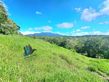 VENDO LOTE CON 950M.S.N.M. Y VISTA AL VOLCAN BARU