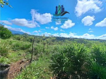 VENDO LOTE CON 950M.S.N.M. Y VISTA AL VOLCAN BARU