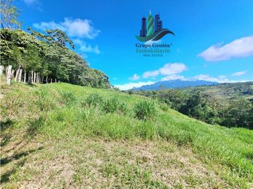 VENDO LOTE CON 950M.S.N.M. Y VISTA AL VOLCAN BARU