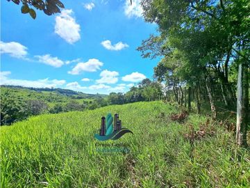 VENDO LOTE CON 950M.S.N.M. Y VISTA AL VOLCAN BARU