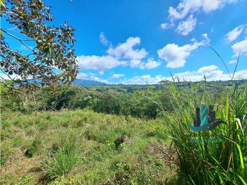 VENDO LOTE CON 950M.S.N.M. Y VISTA AL VOLCAN BARU