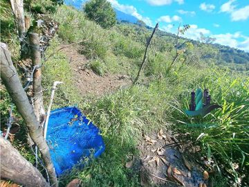 VENDO LOTE CON 950M.S.N.M. Y VISTA AL VOLCAN BARU