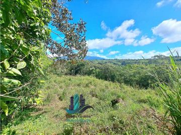 VENDO LOTE CON 950M.S.N.M. Y VISTA AL VOLCAN BARU