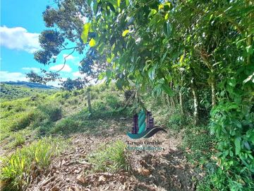 VENDO LOTE CON 950M.S.N.M. Y VISTA AL VOLCAN BARU