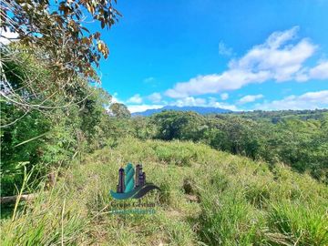VENDO LOTE CON 950M.S.N.M. Y VISTA AL VOLCAN BARU