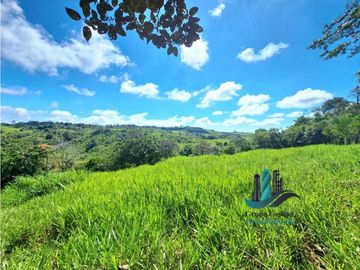 VENDO LOTE CON 950M.S.N.M. Y VISTA AL VOLCAN BARU
