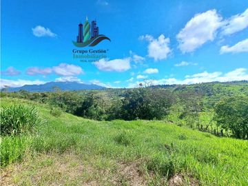 VENDO LOTE CON 950M.S.N.M. Y VISTA AL VOLCAN BARU