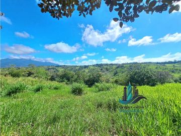 VENDO LOTE CON 950M.S.N.M. Y VISTA AL VOLCAN BARU