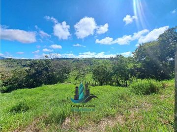 VENDO LOTE CON 950M.S.N.M. Y VISTA AL VOLCAN BARU