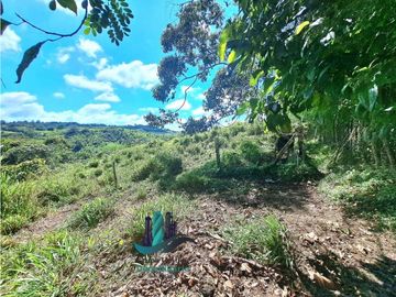 VENDO LOTE CON 950M.S.N.M. Y VISTA AL VOLCAN BARU