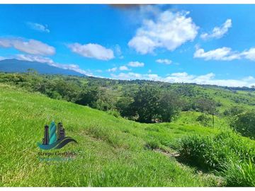 VENDO LOTE CON 950M.S.N.M. Y VISTA AL VOLCAN BARU