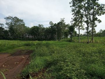 YUK SEGERA BOOKING TANAH MURAH DI KAWASAN YANG MENGUNTUNGKAN DI MALANG