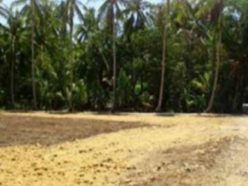 Kavling Pesona Singkil, Barat Lotte Grosir Tegal: Sertipikat SHM