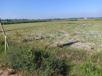 Tanah Kavling Siap Bangun Pesona Jenggawah Jember