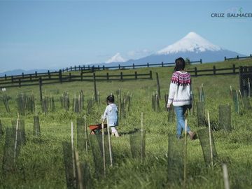 Parcela en Venta en Camino a Pichilaguna, Llanquihue