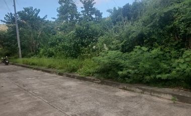 113 SQM Lot for Sale in Greenville Heights Upper Casili Consolacion Cebu with Scenic Greeneries View