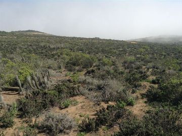 Parcela en Venta en LOTEO QUEBRADA LA PALETA / OCHO QUEBRADAS