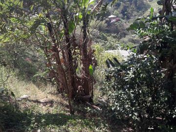 VENDO O CAMBIO ESTA CASA FINCA EN BARBOSA ANTIOQUIA.
