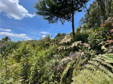 VENTA FINCA EN SANTA ELENA